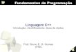 Introdução, identificadores, tipos de dados - Docentes · PDF fileO compilador transforma o código em uma linguagem de programação em uma linguagem de mais baixo nível ... 8/8/2011
