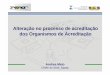 Alteração no processo de acreditação dos Organismos de ...inmetro.gov.br/credenciamento/materias/andrea.pdf · IFA + Frutas e Vegetais GlobalGap (Good Agricultural Pratice) Acreditação