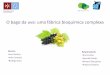 O bago da uva: uma fábrica bioquímica complexa bago da uva final.pdf · Determinação da [proteínas] Medição de actividades enzimáticas N 2 (l) Determinação da concentração