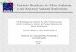 Instituto Brasileiro do Meio Ambiente e dos Recursos ... · PDF filesobre o “Caminho do Ouro”, devido à sobreposição ... Plano de Controle Ambiental – RCA/PCA. Definição