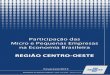 REGIÃO CENTRO-OESTE - sebrae.com.br Sebrae/Estudos e Pesquisas... · 4 O Desempenho das Variáveis Selecionadas, por Porte das Empresas, Segundo as Atividades Econômicas, no Triênio