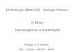 Embriologia (BMH120) - Biologia Noturno Bloco · PDF fileGlândulas Bulbouretrais ... ‐Engrossamento da pele e da secreção pelas glândulas sebáceas > Acne ... Slide 1 Author: