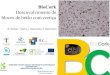 BloCork -   8302:1991 â€“ Determination of steady-state thermal resistance and related properties - Guarded hot plate apparatus EN 12664:2001