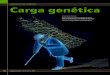 CONCEITOS DE GENÉTICA Carga genética · PDF fileHISTÓRICO O termo “carga genética” é uma tradução do termo em inglês “genetic load”, que foi primeiramente empregado