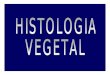 HISTOLOGIA VEGETAL - · PDF fileHISTOLOGIA VEGETAL-Estudo dos tecidos vegetais, em suas formas funções e origens;-São divididos em dois grupos:-MERISTEMAS (que são os tecidos