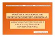 POLÍTICA NACIONAL DE DESENVOLVIMENTO  · PDF file1 polÍtica nacional de desenvolvimento regional. arranjos institucionais e articulaÇÃo inter-governamental. tania bacelar