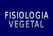 FISIOLOGIA VEGETAL - · PDF fileMuitas pessoas cortam folhas de violeta-africana e as enterram parcialmente para que ... órgãos a que pertencem os vegetais assinalados erradamente