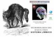 Neurobiologia das emoções - UNESP: Câmpus de · PDF fileestressor e ativa o sistema nervoso e neuroendócrino como forma de reação e tentativa de enfrentar o agente causador