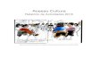 Acesso Cultura · PDF fileAcesso Cultura Relatório de Actividades 2016 Desenho de Eduardo Salavisa no debate na Casa Fernando Pessoa em Novembro 2016