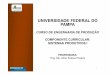 UNIVERSIDADE FEDERAL DO PAMPA - O site tem o objetivo de ... · PDF fileProjeto da Rede de Operações Produtivas . 11 02 28/05 Seminários : Arranjo Físico e Fluxo . Tecnologia de