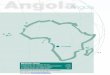 Angola - OECD. · PDF fileinfra-estruturas arruínadas, falta de capital físico e financeiro, governos pobres e a presença alastrada de ... fertilizantes e outros factores de produção,