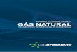 MANUAL DE INSTALAÇÕES GÁS NATURAL - · PDF fileABNT NBR 15358. GENERALIDADES / REFERÊNCIAS. CAPÍTULO 2. 14. ... NBR 15526 | Redes de distribuição interna para gases combustíveis