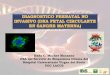 Hada C. Macher Manzano FEA del Servicio de Bioquímica ... · PDF filepara la célula La fracción ... feto usando millones de lecturas de secuencias cortas ... NIPT a gestantes con