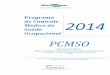 Empresa Brasileira de Pesquisa Agropecuá · PDF fileProcedimentos para Inspeções da Superintendência Regional do Trabalho e ... relativos ao PCMSO da Embrapa está definido no