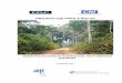 PROJETO CNI PARA A RIO+20 -  · PDF fileprojeto cni para a rio+20 ÍndÚstria de manejo sustentÁvel de florestas naturais curitiba, 2012