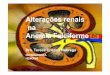 Alteraes renais na Anemia Falciforme -   um preditorde insuficincia renal na anemia falciforme. O dano renal na AF difere de outras insuficincias renais por