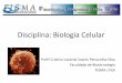 Disciplina: Biologia Celular - fea.br Profª Cristina... · •Inicia-se liberação O 2 até então inexistente •Tóxico •Anaeróbio sobrevivem em nichos especificos ... processos