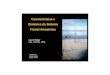 Características e Dinâmica do Sistema Fluvial Amazônicopdbff.inpa.gov.br/cursos/efa/livro/2008/pdf/palestras/paleslauren.pdf · deposição. O tempo de renovação deve variar