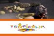 Tropicália - queroincentivar.com.brqueroincentivar.com.br/wordpress/wp-content/uploads/2015/11/BOOK...DENISE TELLES-HOFSTRA Diretora Geral e co-coreógrafa. ... espetáculos, entre