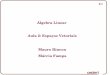 Álgebra Linear Aula 2: Espaços Vetoriais Mauro Rincon ...rincon/Disciplinas/Algebra Linear/Aula_002.pdf · 2.23 2.3 - Subespaços Vetoriais Sejam V um espaço vetorial e S um subconjunto