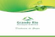 Dinâmica de Grupo - Grande Rio Reciclagem  · PDF fileDinâmica de Grupo Grande Rio Reciclagem Ambiental, desde 1972 praticando responsabilidade ambiental. A p o i o: