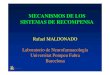 MECANISMOS DE LOS SISTEMAS DE  · PDF fileMECANISMOS DE LOS SISTEMAS DE RECOMPENSA Rafael MALDONADO Laboratorio de Neurofarmacología Universitat Pompeu Fabra Barcelona