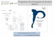 Programa de Português do Ensino Básico · PDF file2 – Aprofundamento de conhecimentos sobre cada uma das 5 competências ... tomar consciência e aprender a pôr em prática três