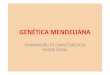 TRANSMISSÃO DE CARACTERÍSTICAS HEREDITÁRIAS · PDF file• O monge Gregor Mendel (1822 – 1884) realizou experiências com ervilhas cultivadas no jardim, do mosteiro de Brunn,