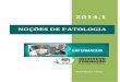 2014 - Instituto Formação · PDF filePatologia geral: Está envolvida com as reações básicas das células e tecidos a estímulos anormais provocados pelas doenças. Por isso é