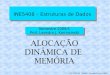 Semestre 2008/1 Prof. Leandro J. Komosinski ALOCAÇÃO ... · PDF filechamadas de ponteiros ... Alocação de Memória em Java A Máquina Virtual Java (MVJ) ... Alocação Dinâmica
