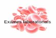Exames laboratoriais - · PDF fileenfoque na série vermelha, branca e plaquetária. ... Considera-se portador de anemia o indivíduo cuja concentração de hemoglobina é inferior