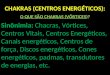 CHAKRAS (CENTROS ENERGÉTICOS): - André Luiz - …€¦ · PPT file · Web view · 2012-04-29CHAKRAS (CENTROS ENERGÉTICOS): O QUE SÃO CHAKRAS (VÓRTICES)? Sinônimia: Chacras,
