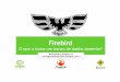 Firebird o Firebird Project:: O projeto! Como comentado anteriormente, o Firebird nasceu nos bastidores da Borland Software Corporation no momento em que a mesma se pronunciou contra