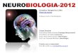 NEUROBIOLOGIA-2012 - Instituto de Biociências memória de trabalho dos chimpanzés é muuuito melhor do que a nossa. ... Huntington Sacks Atlas Calcarino Ceco Pirâmide ... Slide