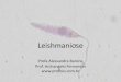 Leishmaniose - profbio.com.br · •Complexo Leishmania mexicana ... Morfologia •Formas amastigotas –Habitat: vacúolo digestivo das células do SMF do hospedeiro vertebrado