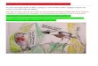 terenner.files.wordpress.com  · Web viewno Algarve. (next page shows a letter written by the director of birdlife Portugal to the GNR) . Illegal catching of birds is a big threat