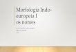 Morfologia Indo-europeia I os nomes dos casos •Os estudiosos não estão em acordo com relação à origem dos casos. •Com relação aos gêneros, em geral há acordo de que o
