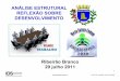 ANÁLISE ESTRUTURAL REFLEXÃO SOBRE … · Prof. Dr. Antônio Luís Aulicino 2 Programa do dia 29 julho 2011 •Conceito Prospectiva Regional sobre Análise Estrutural •Reunião