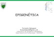 EPIGENÉTICA - ime.usp.br · Definição de Epigenética “Epigenética consiste no estudo das mudanças hereditárias na expressão gênica que independem de mudanças na sequência