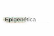 Epigenética - docs.ufpr.brlehtonen/farmacia/Epigenetica.pdf · A Epigenética O termo “Epigenética” foi utilizado pela primeira vez por Conrad H. Waddington, em meados da década
