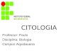CITOLOGIA - paulobiologiaifms | Just another …… · PPT file · Web view · 2011-03-16CITOLOGIA Professor: Paulo Disciplina: Biologia Campus Aquidauana CITOLOGIA A área da Biologia