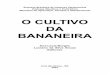O CULTIVO DA BANANEIRA - Fruticultura no Vale do São ...frutvasf.univasf.edu.br/images/banana2.pdf · Autores ALDO VILAR TRINDADE Engenheiro Agrônomo, DSc. em Microbiologia do Solo,
