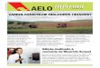 Ano 34, Número 103 AELO informa · Antonio Basile Luiz Eduardo de Oliveira Camargo ... que nós, do setor imobiliário, consideramos em situação extremamente grave. Faz dois anos