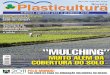 Revista Plasticultura • Set/Out • Ciência Agrícola para o ... · Marlene Simarelli - Mtb 13.593 ... gem na grade da educação dos estudan- ... tos de uso. A associação dos