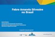 Febre Amarela Silvestre no Brasil - portalms.saude.gov.brportalms.saude.gov.br/images/pdf/2017/junho/22/1. b - FA_CIT_22.06... · Distribuição por sexo e faixa etária dos casos