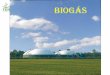 Biogás - FEN – Fundação Ecológica Nacional¡s é uma mistura gasosa composta principalmente de gás metano (CH4) e é obtido pela digestão anaeróbia (em ausência de oxigênio)