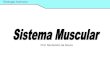 Prof. Ms.Sandro de Souza Humana Esquelético O tecido muscular esquelético compõem o Sistema Muscular Esquelético, que constitui a maior parte da musculatura do corpo. Essa musculatura