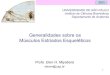 Generalidades sobre os Músculos Estriados … Miologia 2009 Miologia = Estudo dos Músculos • Sistema Muscular: - Fibras musculares - Tecido conjuntivo – unidade, inervação,