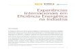 Experiências Internacionais em Eficiência Energética na ...arquivos.portaldaindustria.com.br/app/conteudo_24/2012/09/06/262/... · EXPERIÊNCIAS INTERNACIONAIS EM EFICIÊNCIA ENERGÉTICA