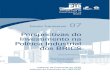 Perspectivas do Investimento na Política Industrial dos … · Economia industrial. 7. Relatório de pesquisa (UFRJ/UNICAMP). I. Rocha, Gustavo de Britto. II. Kupfer, David. III